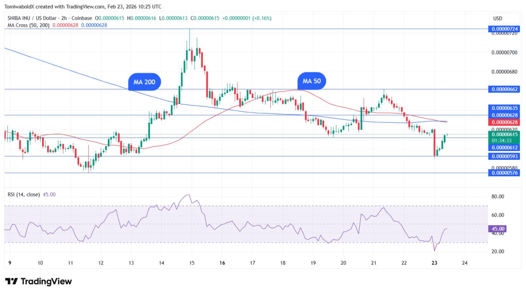 Shiba Inu price chart MA200 and MA50