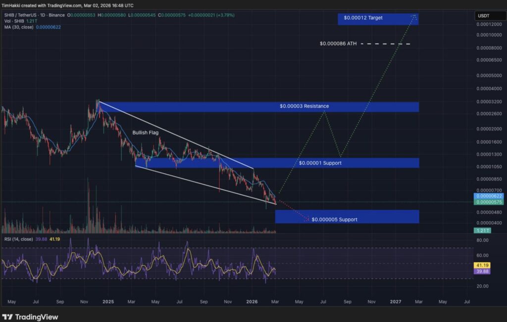 SHIB/USDT TradingView chart (daily) showing a bearish trend with a bullish flag pattern, major resistance at $0.00003, supports at $0.00001 and $0.000005, a bullish target projected at $0.00012, and neutral RSI with moderate volume.