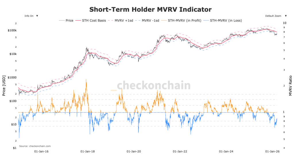 STH MVRV chart with orange and blue curves