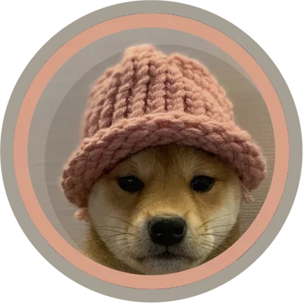  Dogwifhat (WIF) token