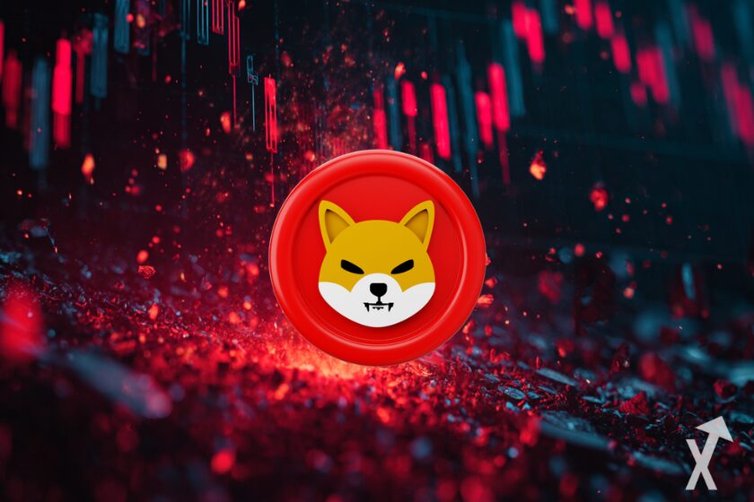 "Perro Shiba Inu: raza japonesa"