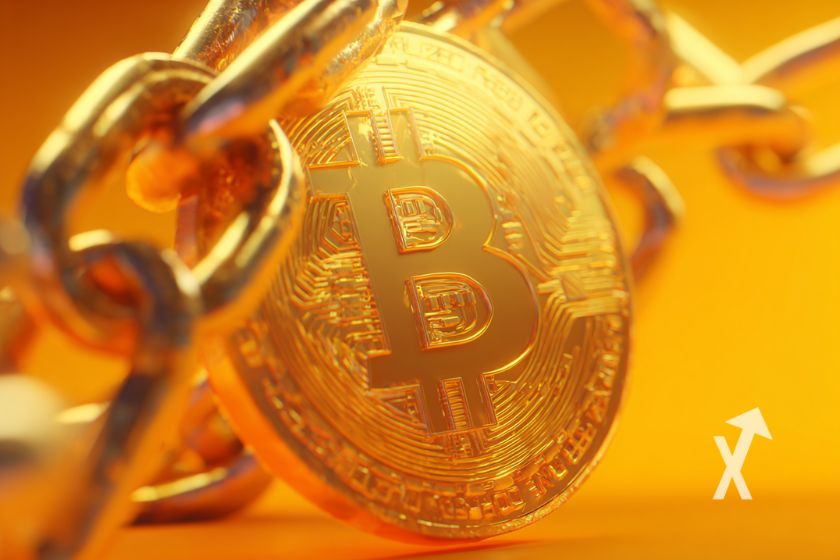 "Funda Bitcoin" - Protege tu inversión en criptomonedas.