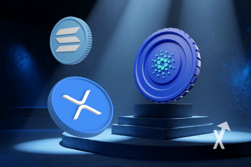 Tarjeta de presentación de Cardano.