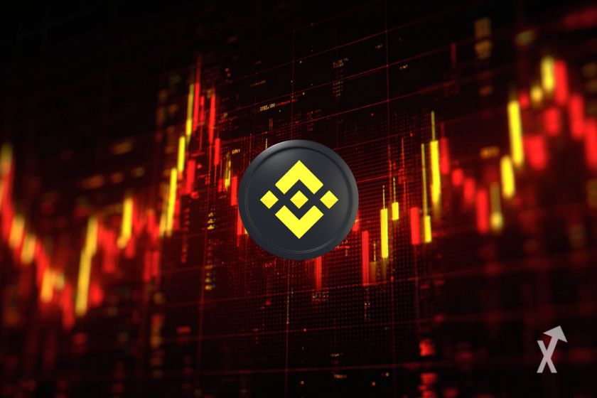 El token BNB - Criptomoneda popular.