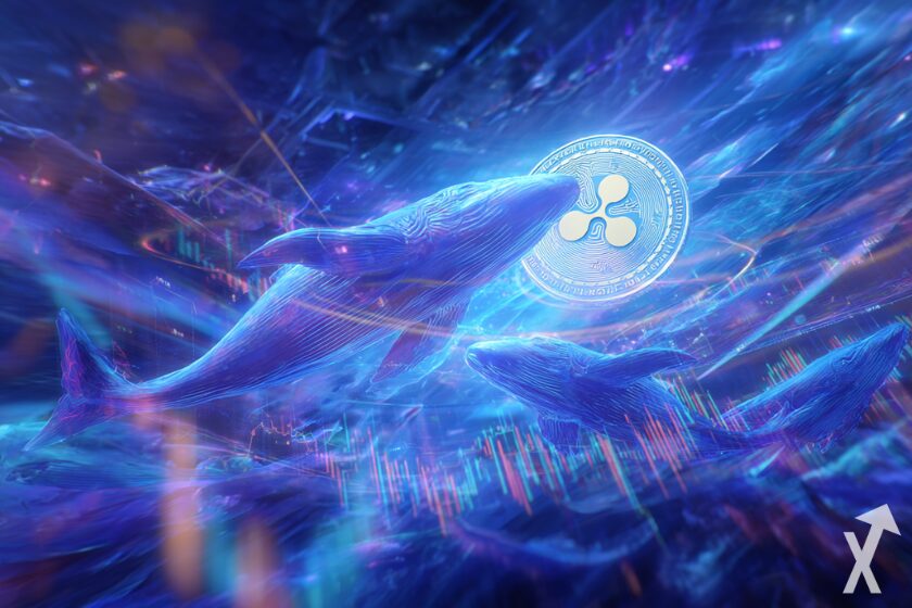 Grandes ballenas de XRP cryptocurrency.