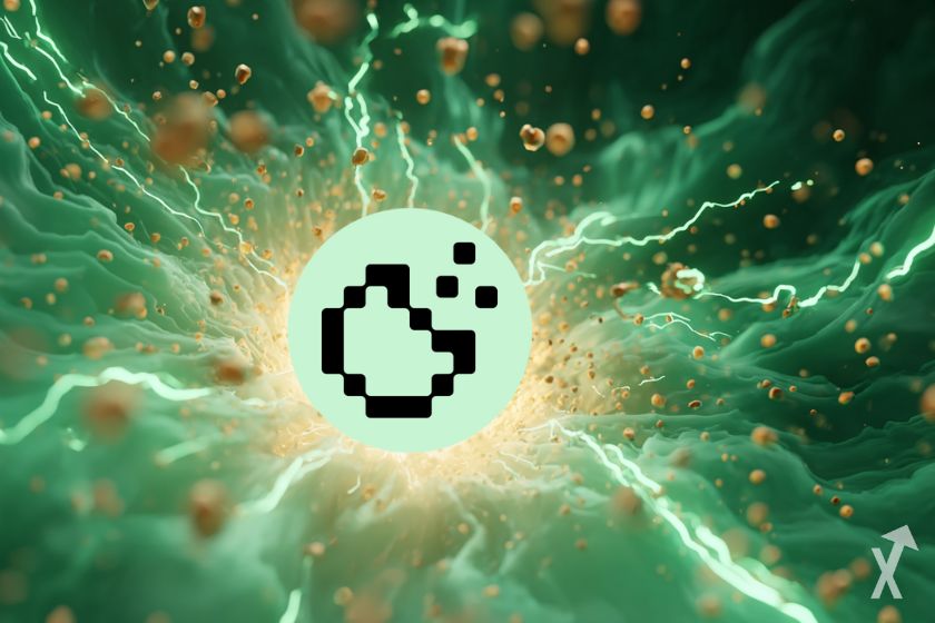 "Galleta con forma de moneda"