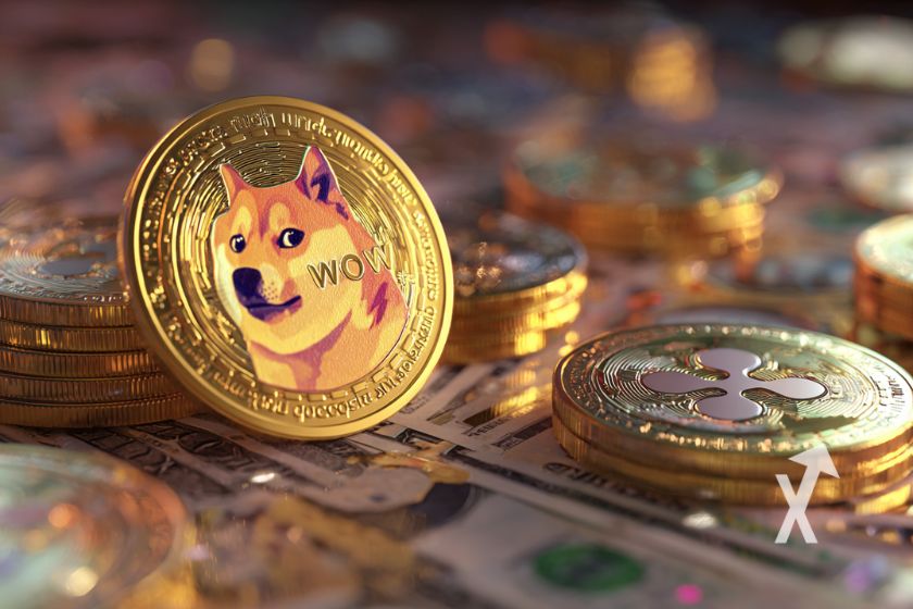 "portada de fondos doge xrp"