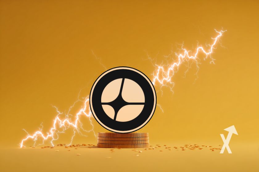 "Portada de aster" - Flor violeta en primer plano.