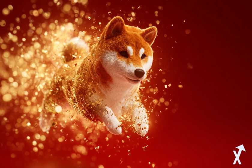 Perro shiba inu corriendo entre brillo dorado.