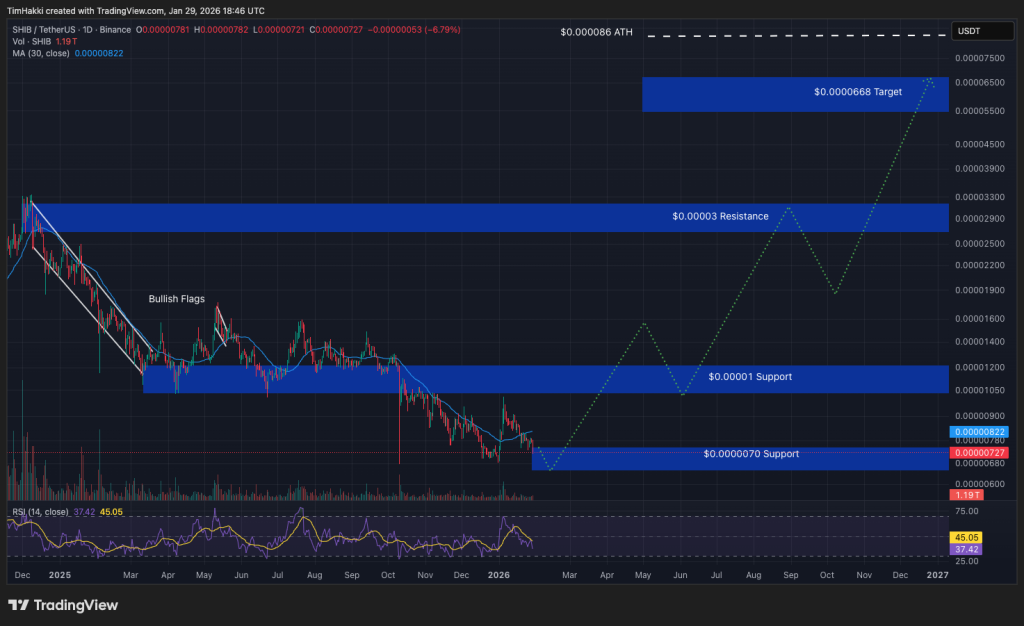 Gr&aacute;fico del precio de Shiba Inu (SHIB) mostrando la evoluci&oacute;n del curso y niveles t&eacute;cnicos clave