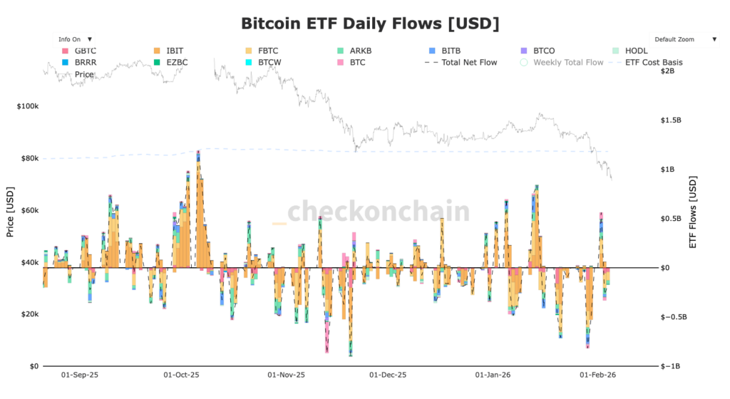 Entradas diarias de Bitcoin Etf Bitcoin con columnas de colores