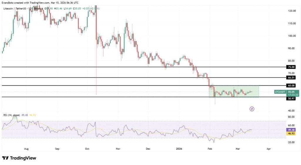 Gráfico TradingView de Litecoin (LTC/USDT) mostrando consolidación entre soporte de 50,97$ y resistencia de 60,08$, con RSI cercano a zona neutral, indicando posible ruptura.