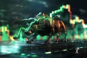 bull run cripto