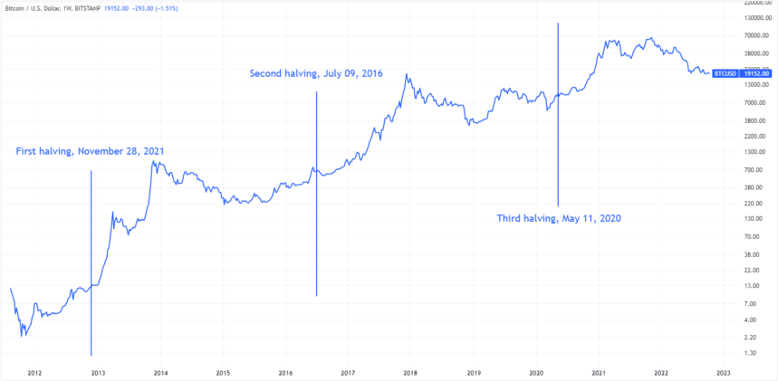 bull run cripto