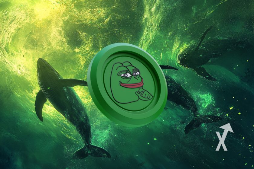 Pepe baleias nadando no oceano.