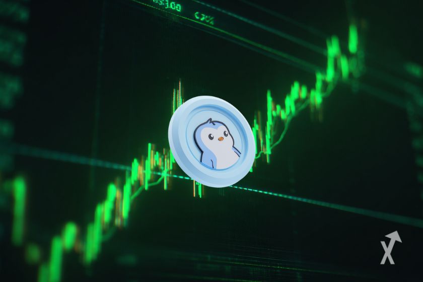 Criptomoeda de nome PENGU.