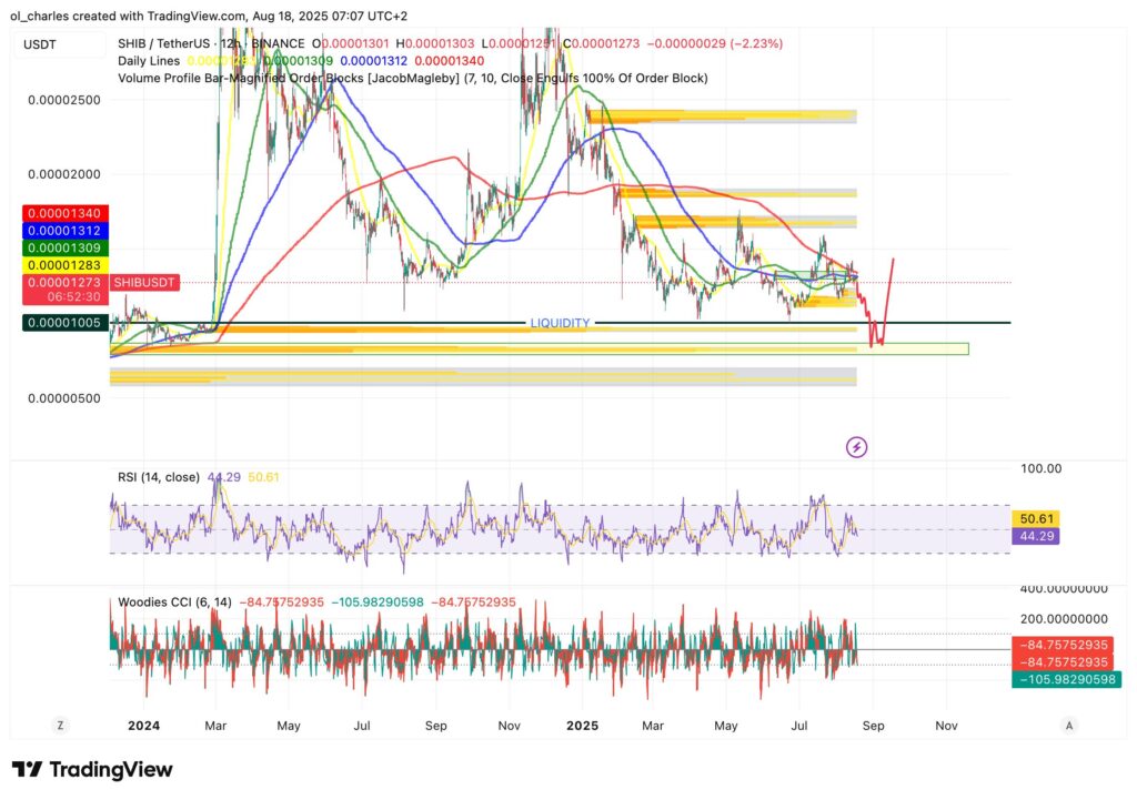 gráfico do preço do SHIB em 12H