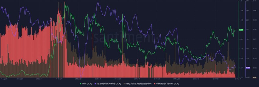 gráfico da atividade dos desenvolvimentos na cardano