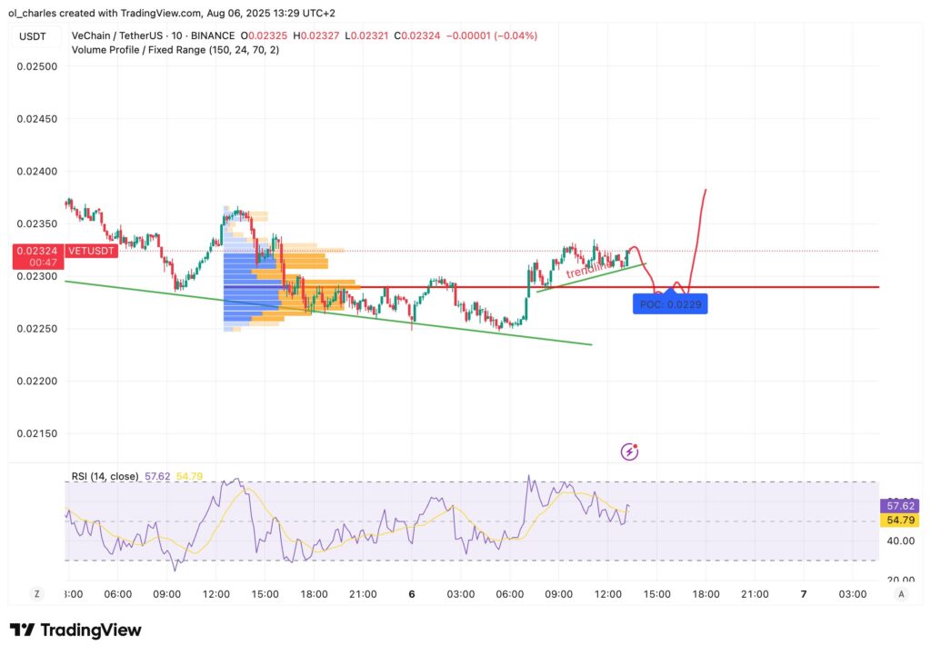curso do VET em 10 minutos