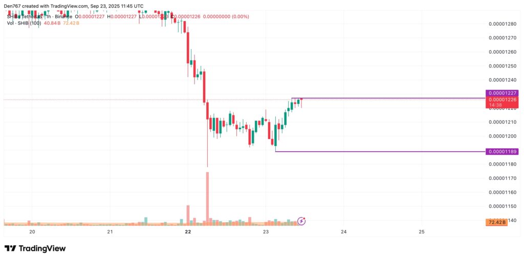 Um gráfico do SHIBa Inu