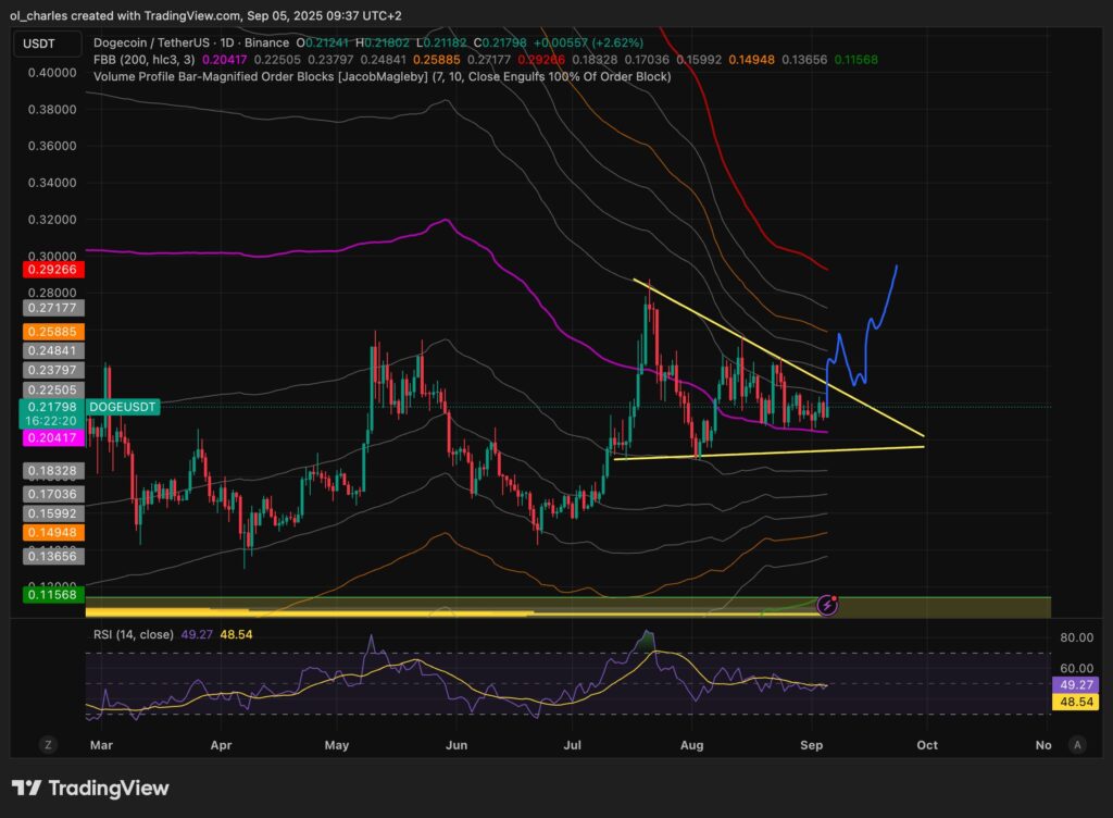 cotação do DOGE dogecoin em um dia