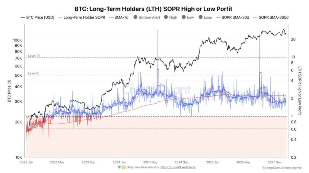 gráfico bitcoin dos holders