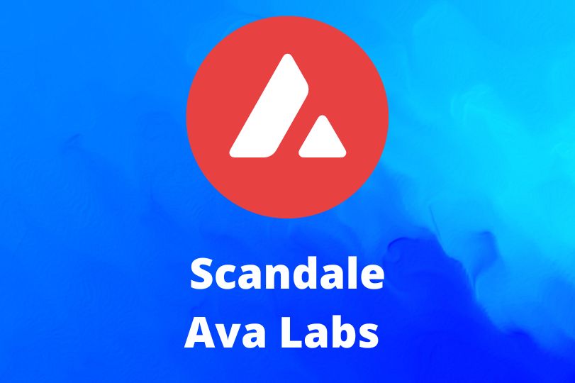 Scandale Ava Labs