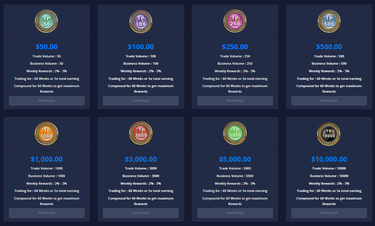 Validus nous avons testé le nouveau MLM de trading. Notre avis