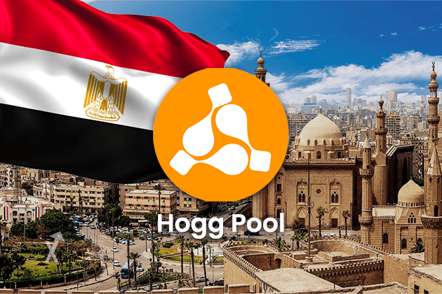 Hogg pool egypt