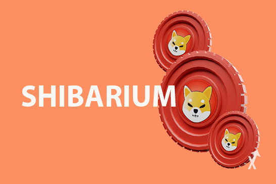 shibarium