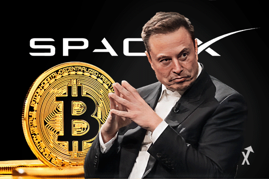 spacex bitcoin elon musk
