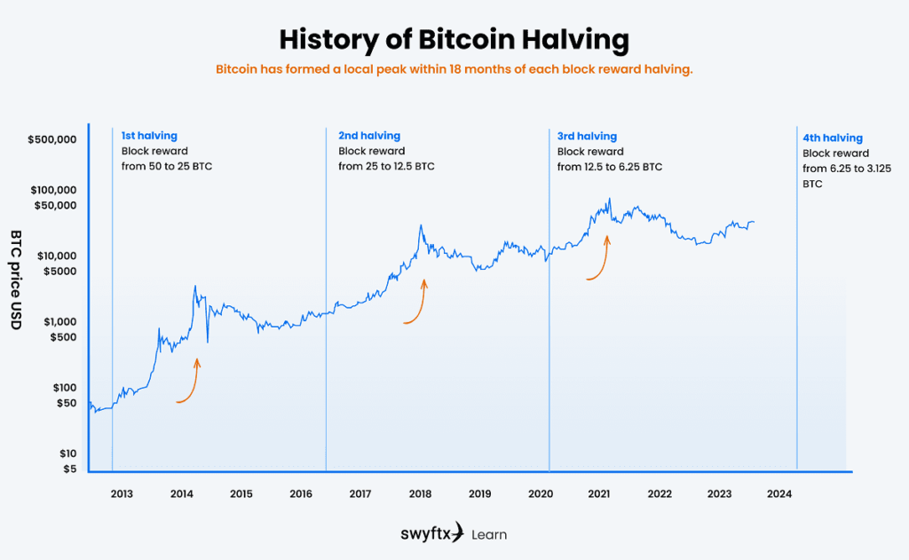 Comprendre les cycles du halving du Bitcoin BTC