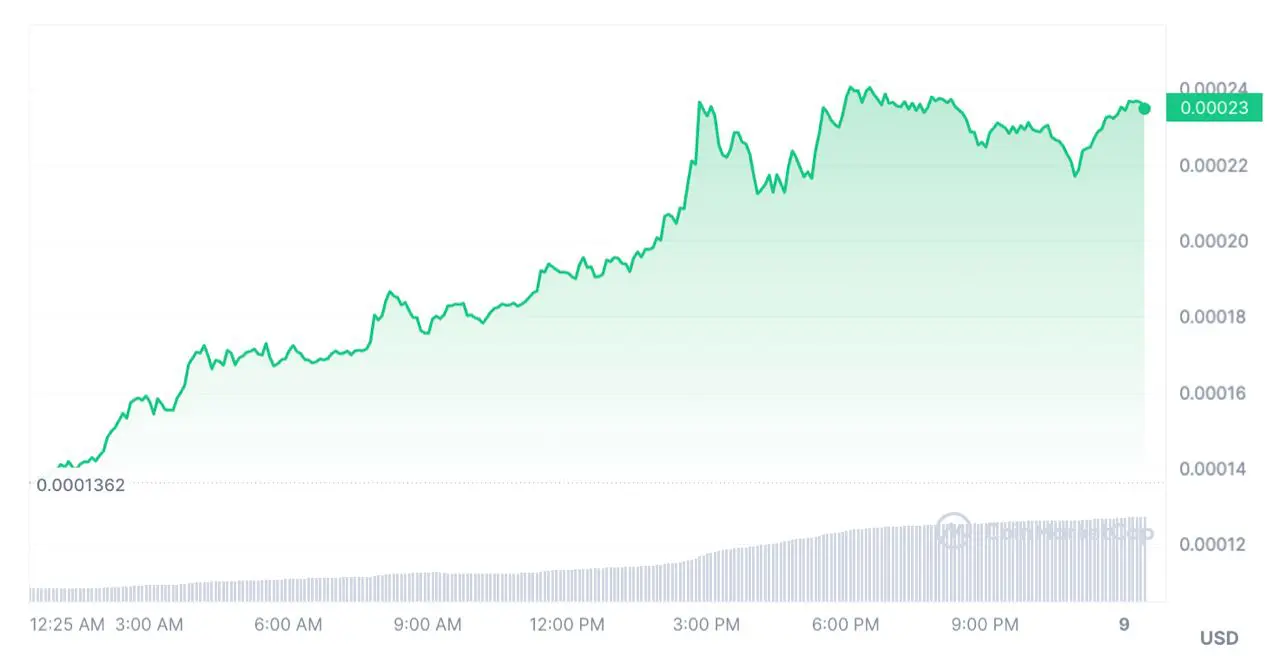 FLOKI grimpe de 60% et intègre le top 60 des cryptomonnaies