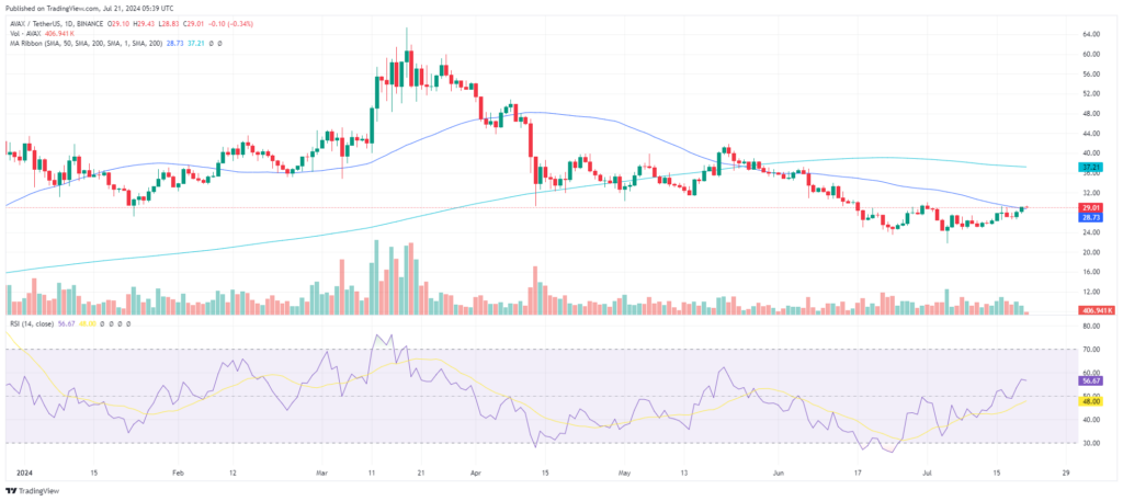 Analyse technique crypto Avalanche AVAX juillet 2024