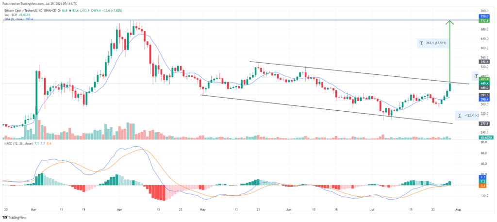 Analyse technique juillet 2024 Bitcoin Cash