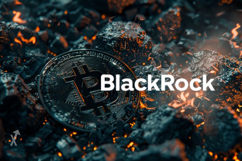 BlackRock achète 11 291 bitcoins