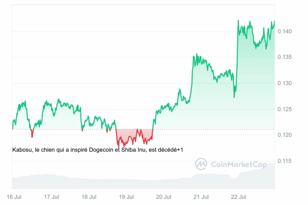 Graphique prix DOGE juillet 2024