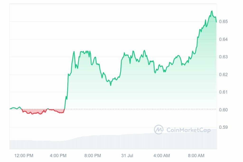 Graphique hausse Ripple XRP 31 juillet