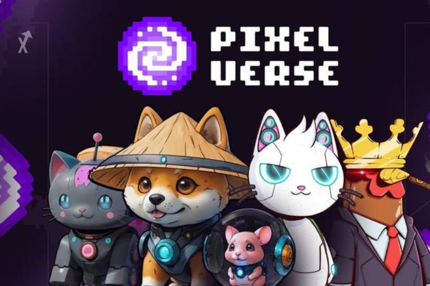 Guide Pixelverse