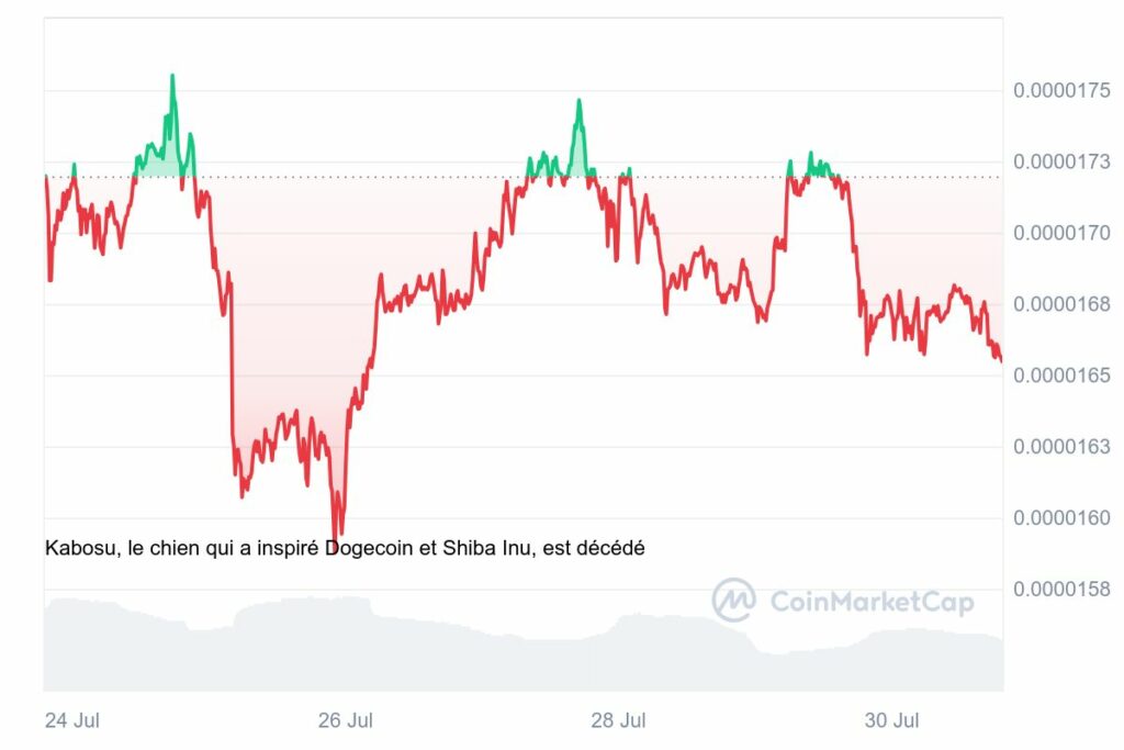 Graphique de SHIB, un des mèmes crypto les plus prometteurs