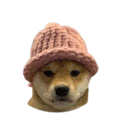 dogwifhat wif logo