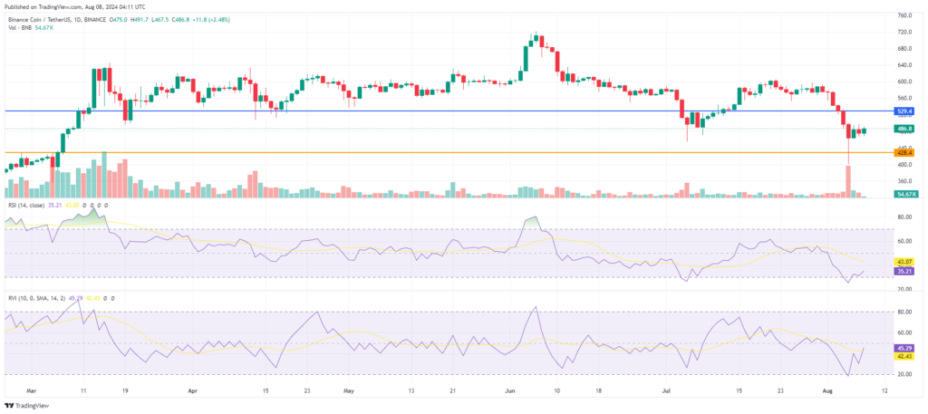 Analyse graphique prix du BNB indicateur RSI et RVI