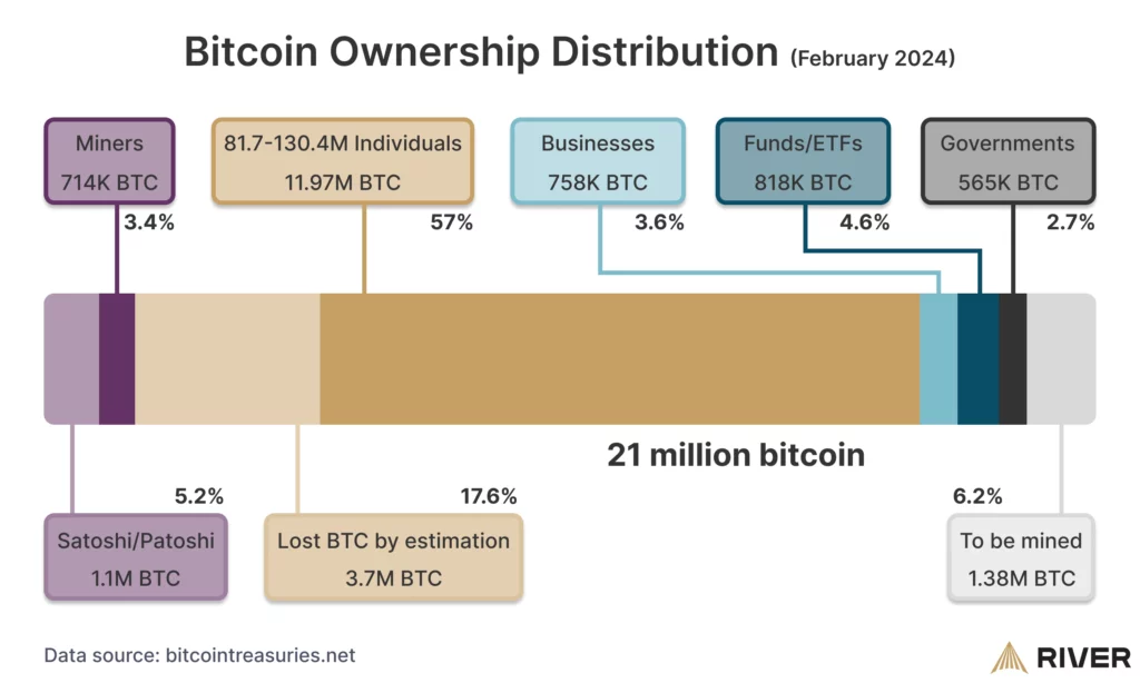 Répartition de la détention de Bitcoin en 2024