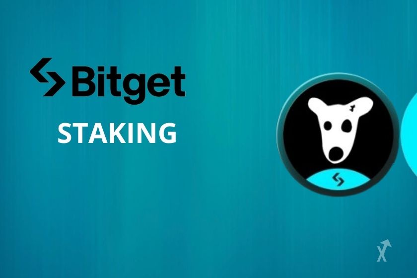 Staker des USDT pour gagner des DOGS sur Bitget PoolX