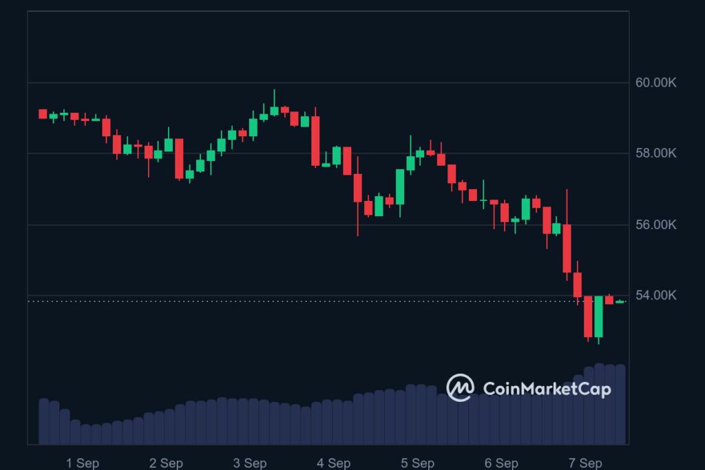 Analyse prix Bitcoin (BTC) chute septembre 2024