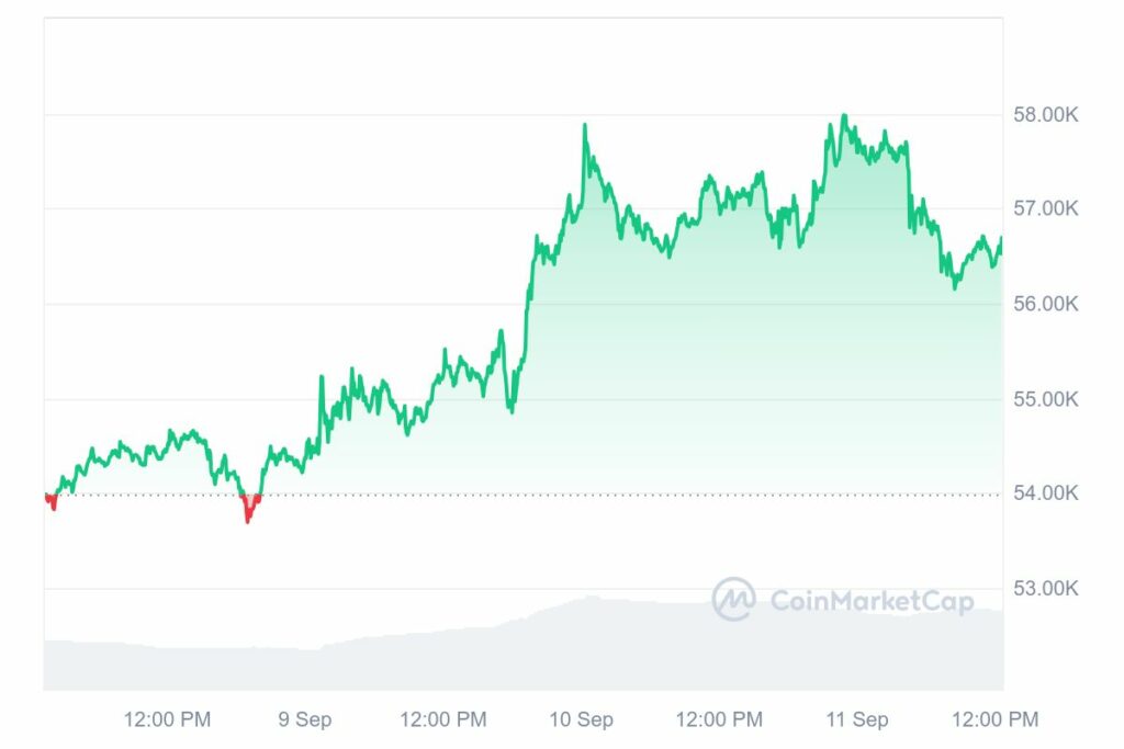 Cours Bitcoin en hausse avant l'élection US