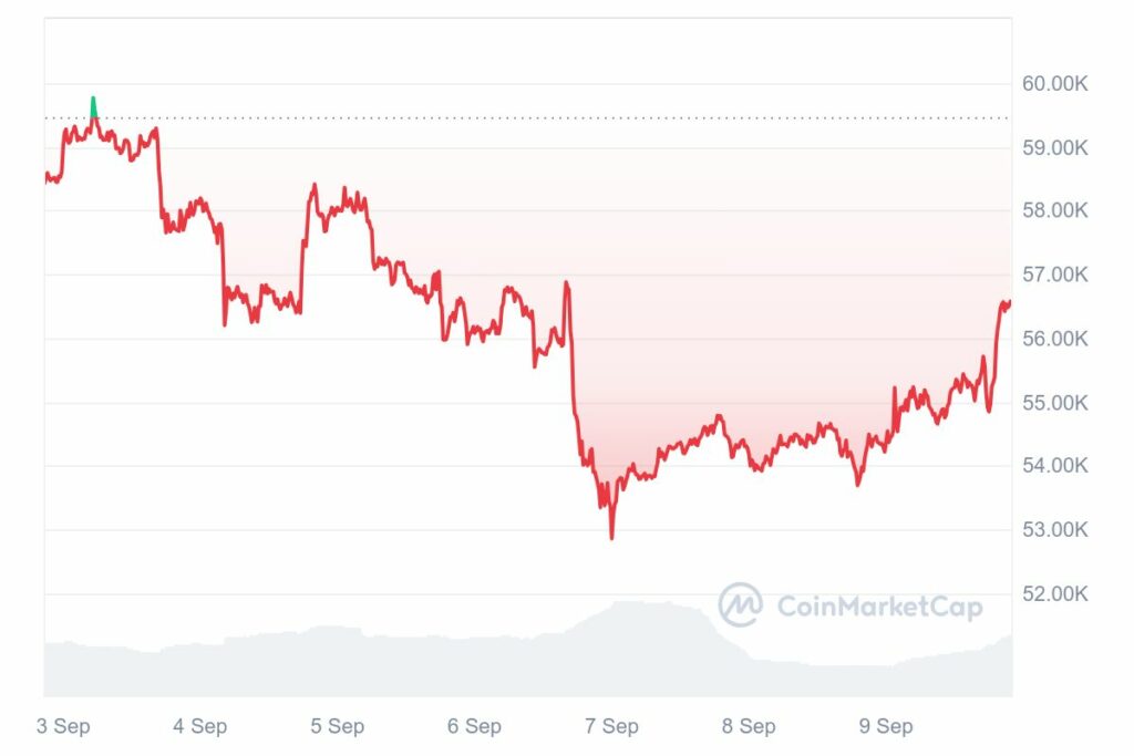 Graphique de prix hebdomadaire du Bitcoin