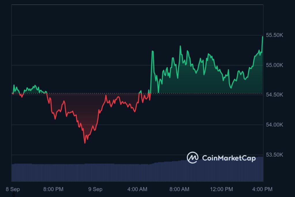 graphique journalier 9 septembre du Bitcoin