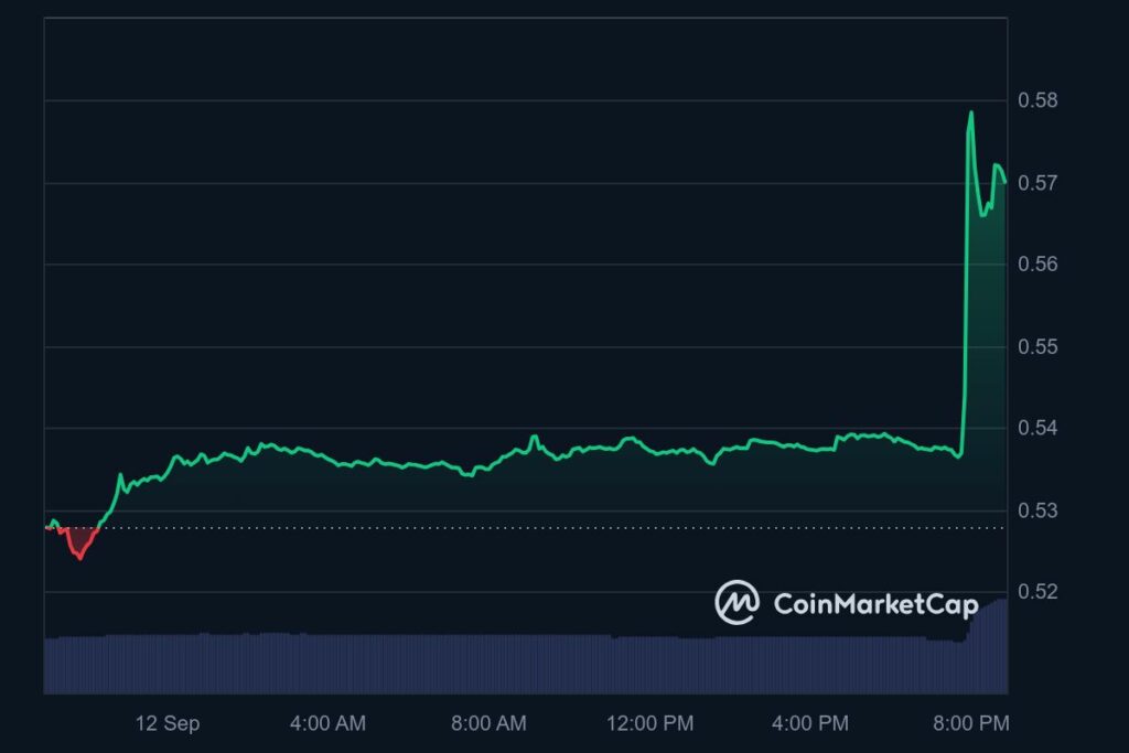 Hausse token Ripple (XRP) 12 septembre