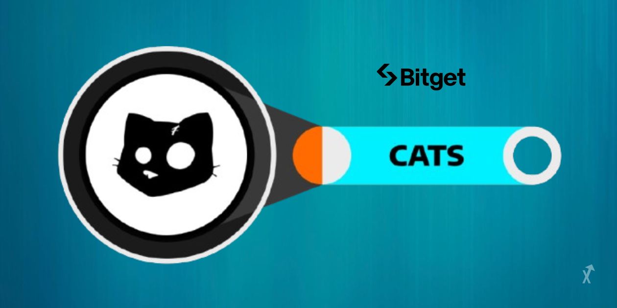 CATS Airdrop Saison 2 : Tout ce que vous devez savoir !